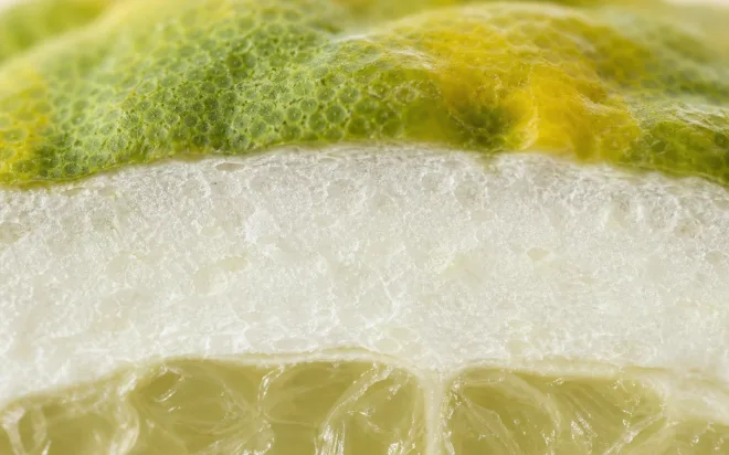 Macro view of bergamot rind, thick white pith and pale fruit segments